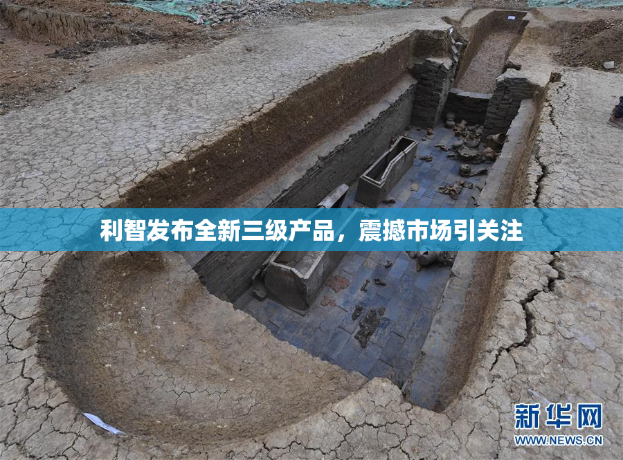利智发布全新三级产品，震撼市场引关注