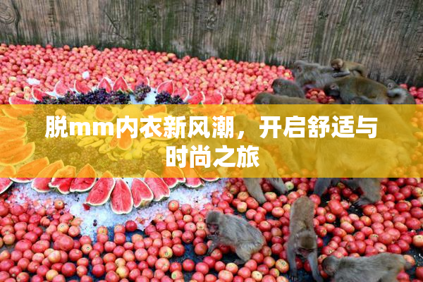脱mm内衣新风潮，开启舒适与时尚之旅