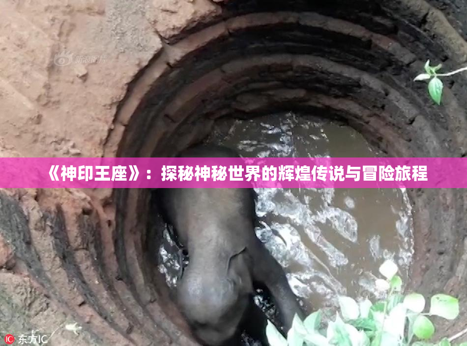 《神印王座》：探秘神秘世界的辉煌传说与冒险旅程