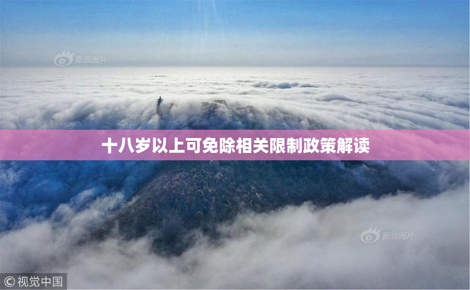 十八岁以上可免除相关限制政策解读