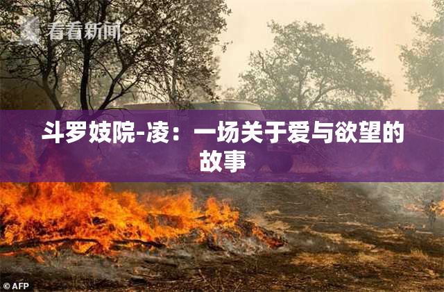 斗罗妓院-凌：一场关于爱与欲望的故事