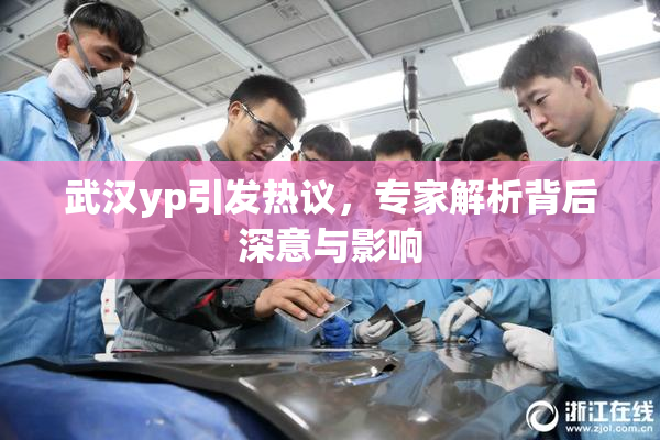 武汉yp引发热议，专家解析背后深意与影响