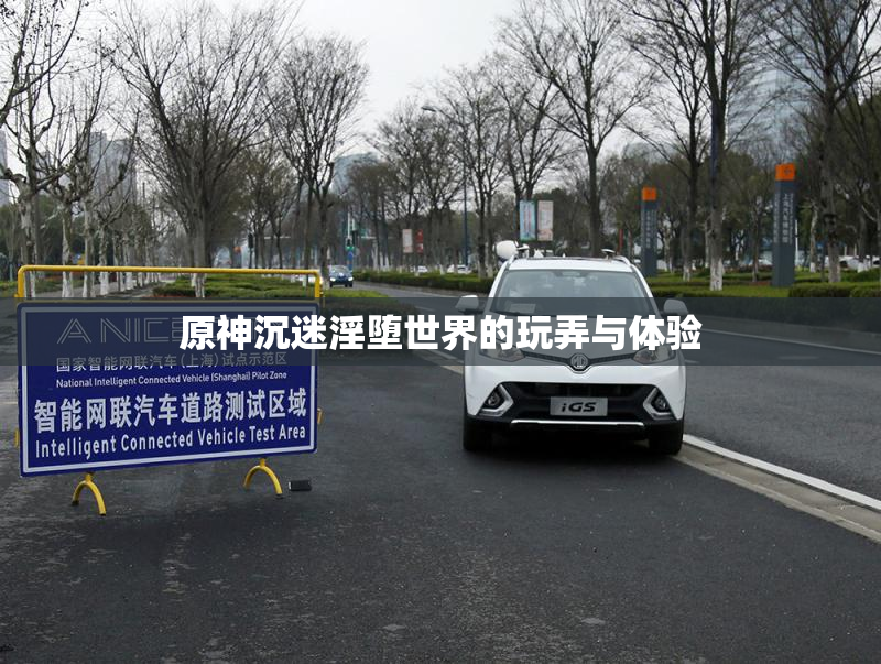 原神沉迷淫堕世界的玩弄与体验