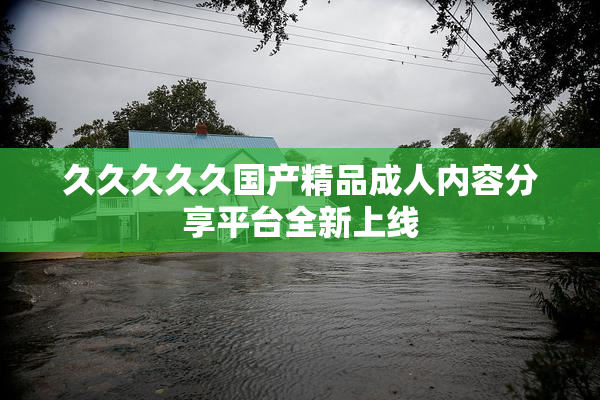 久久久久久国产精品成人内容分享平台全新上线