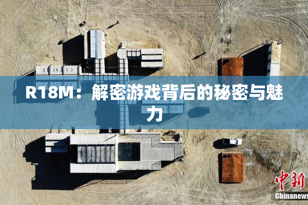 R18M：解密游戏背后的秘密与魅力