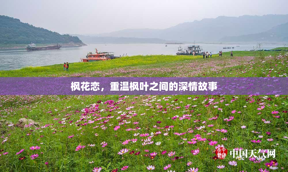 枫花恋，重温枫叶之间的深情故事