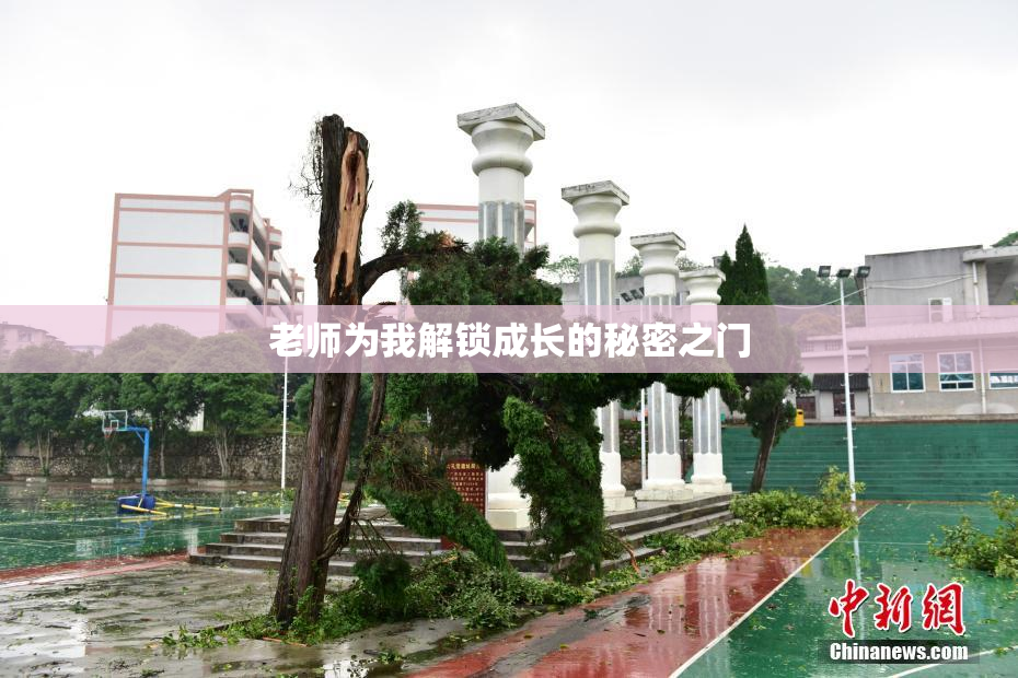 老师为我解锁成长的秘密之门