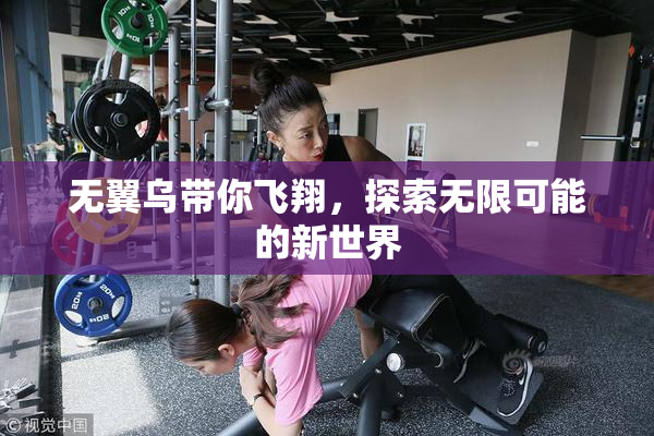 无翼乌带你飞翔，探索无限可能的新世界