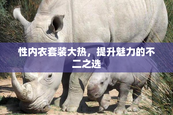 性内衣套装大热，提升魅力的不二之选
