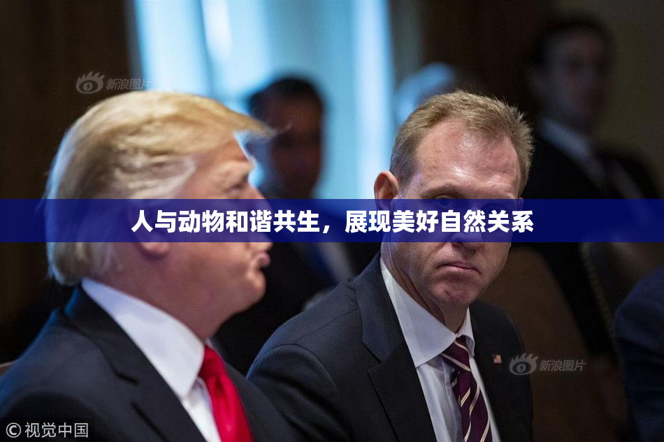 人与动物和谐共生，展现美好自然关系