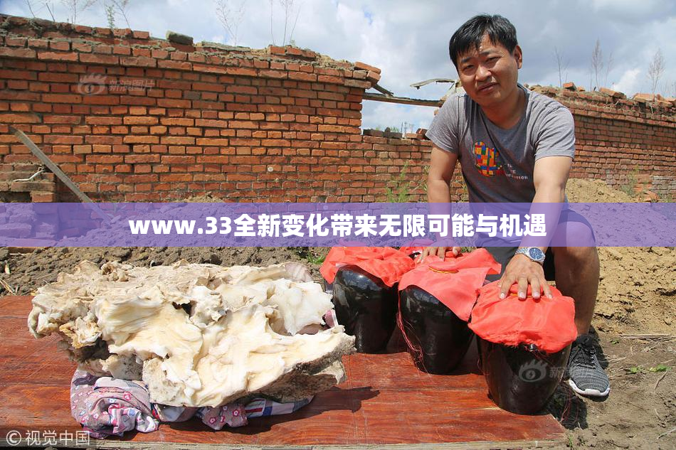 www.33全新变化带来无限可能与机遇