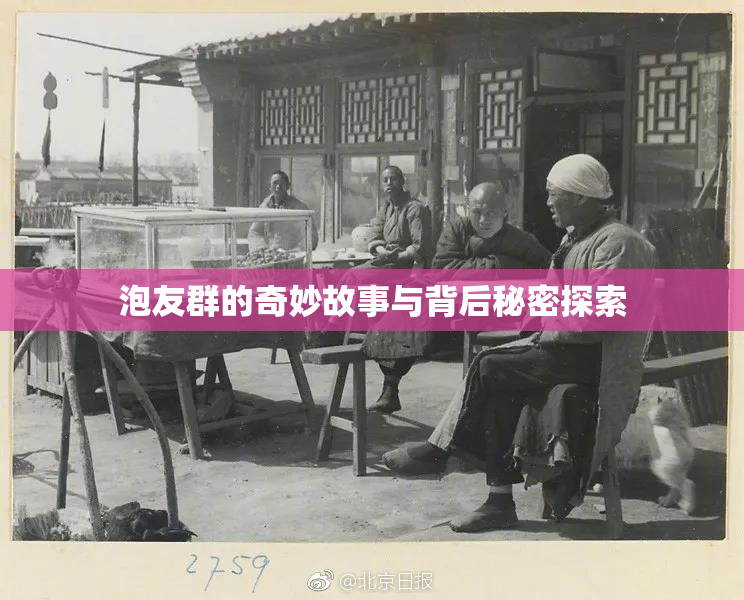 泡友群的奇妙故事与背后秘密探索