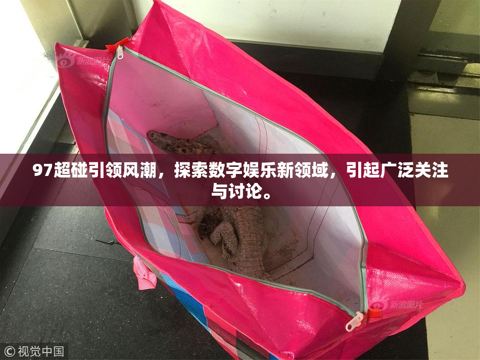 97超碰引领风潮，探索数字娱乐新领域，引起广泛关注与讨论。