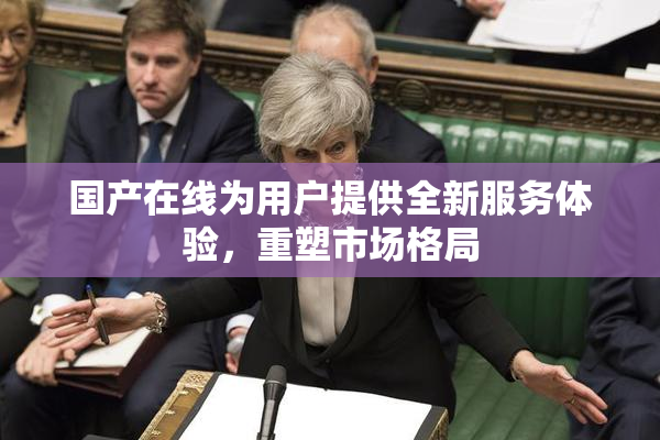 国产在线为用户提供全新服务体验，重塑市场格局