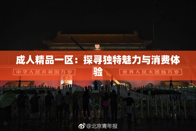 成人精品一区：探寻独特魅力与消费体验