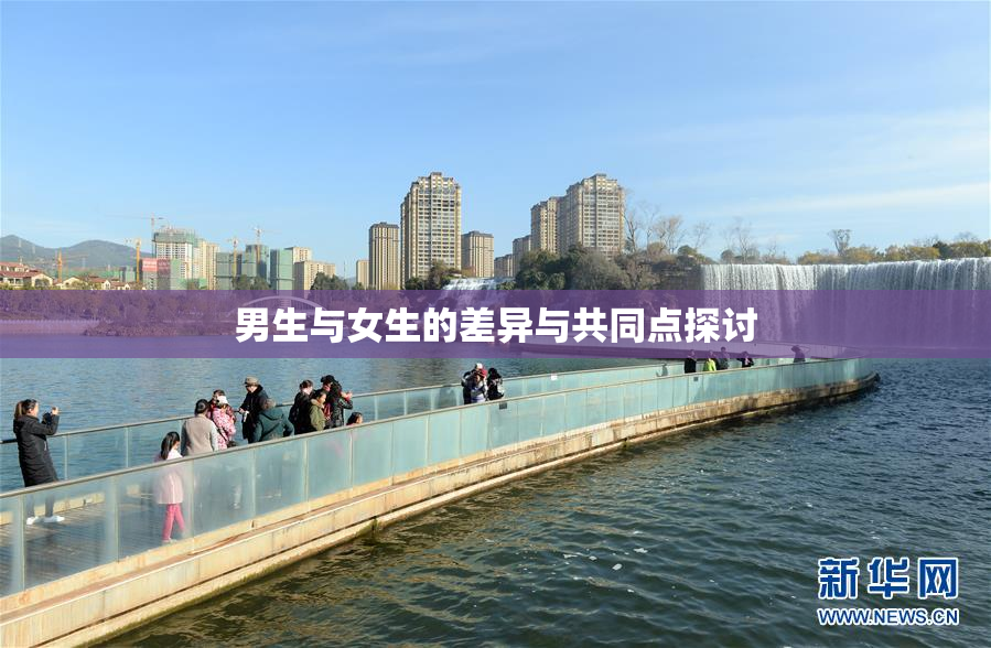 男生与女生的差异与共同点探讨