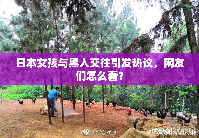 日本女孩与黑人交往引发热议，网友们怎么看？