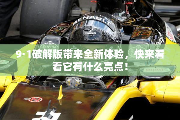 9·1破解版带来全新体验，快来看看它有什么亮点！