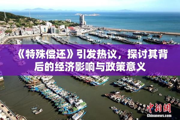 《特殊偿还》引发热议，探讨其背后的经济影响与政策意义