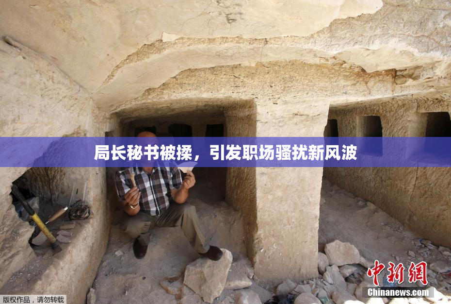 局长秘书被揉，引发职场骚扰新风波