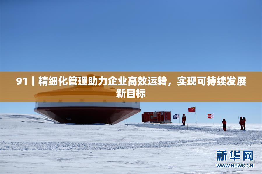 91丨精细化管理助力企业高效运转，实现可持续发展新目标