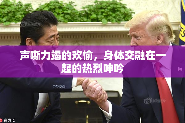 声嘶力竭的欢愉，身体交融在一起的热烈呻吟