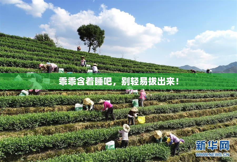 乖乖含着睡吧，别轻易拔出来！