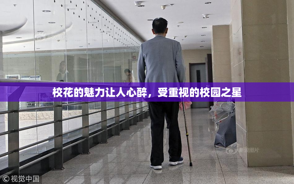 校花的魅力让人心醉，受重视的校园之星