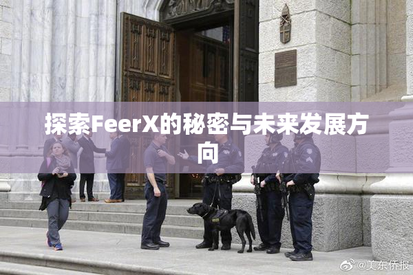 探索FeerX的秘密与未来发展方向