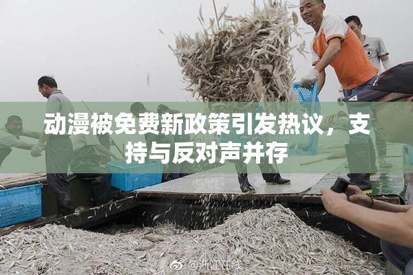 动漫被免费新政策引发热议，支持与反对声并存