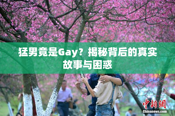 猛男竟是Gay？揭秘背后的真实故事与困惑