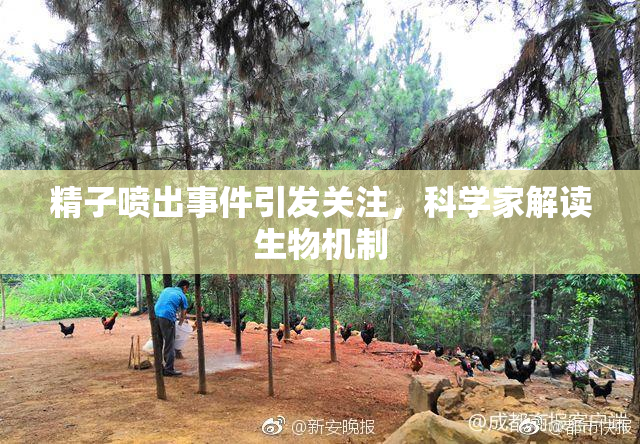 精子喷出事件引发关注，科学家解读生物机制