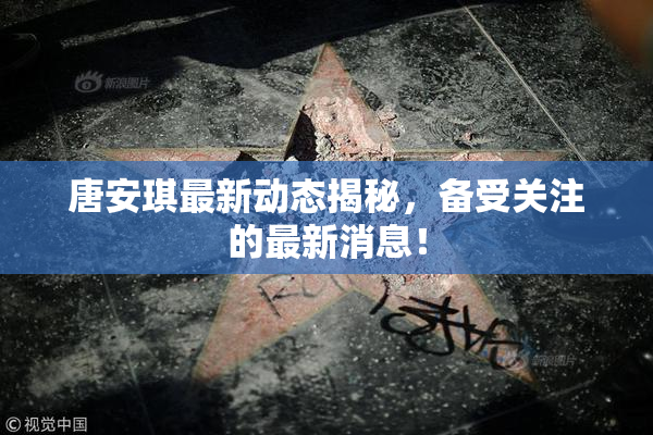 唐安琪最新动态揭秘，备受关注的最新消息！