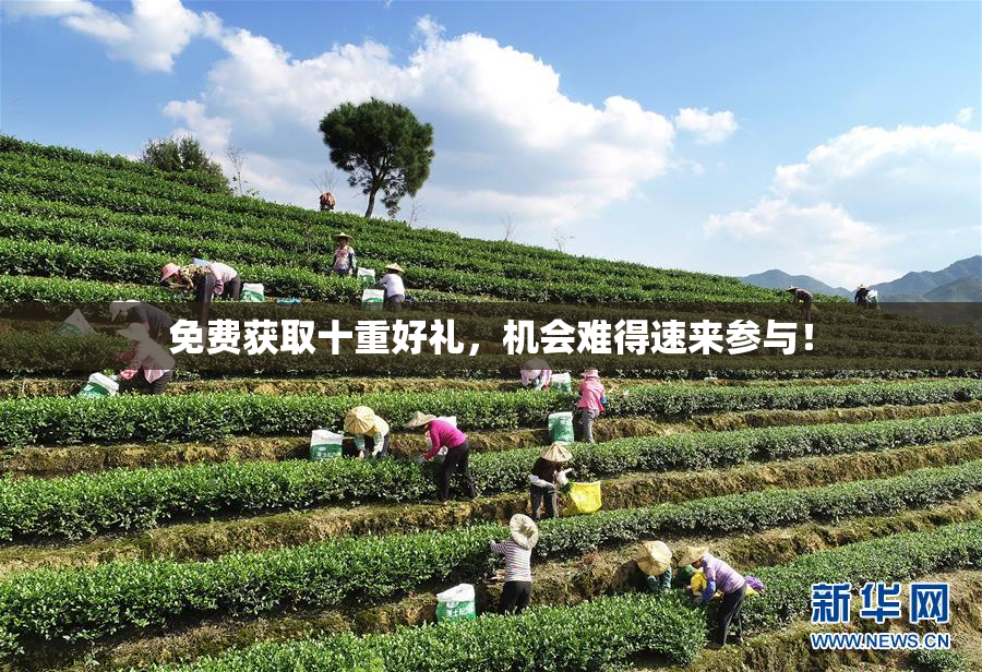 免费获取十重好礼，机会难得速来参与！