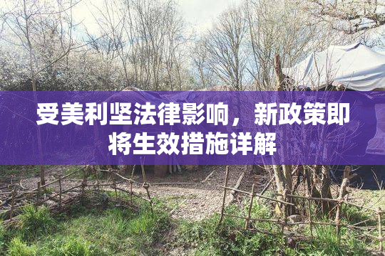 受美利坚法律影响，新政策即将生效措施详解