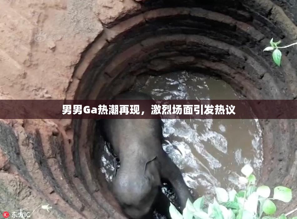 男男Ga热潮再现，激烈场面引发热议