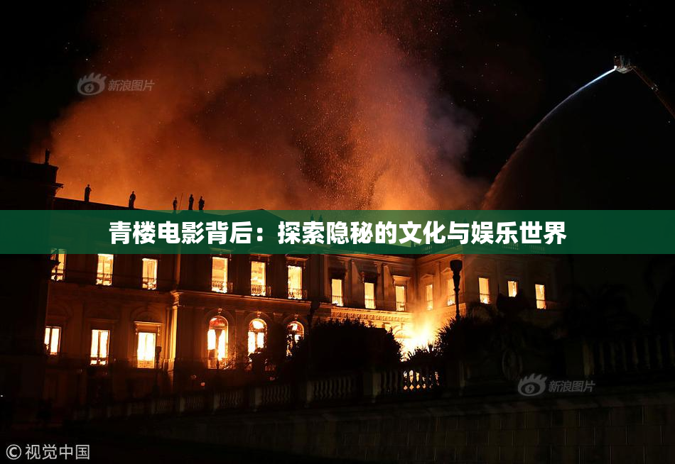 青楼电影背后：探索隐秘的文化与娱乐世界