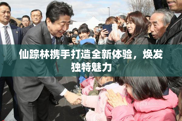 仙踪林携手打造全新体验，焕发独特魅力