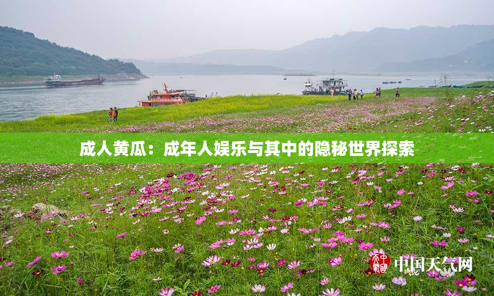 成人黄瓜：成年人娱乐与其中的隐秘世界探索
