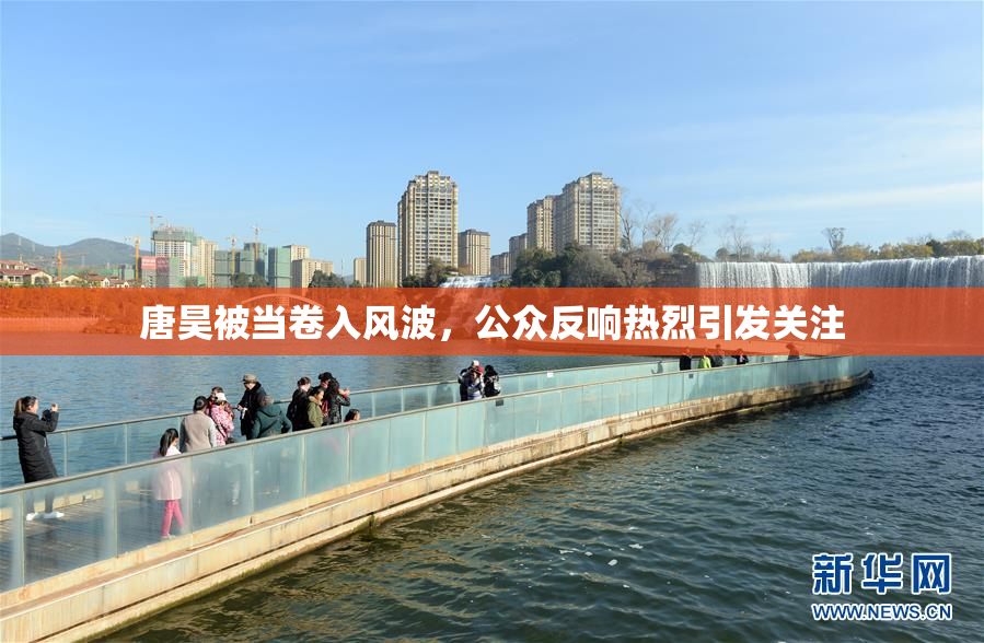 唐昊被当卷入风波，公众反响热烈引发关注