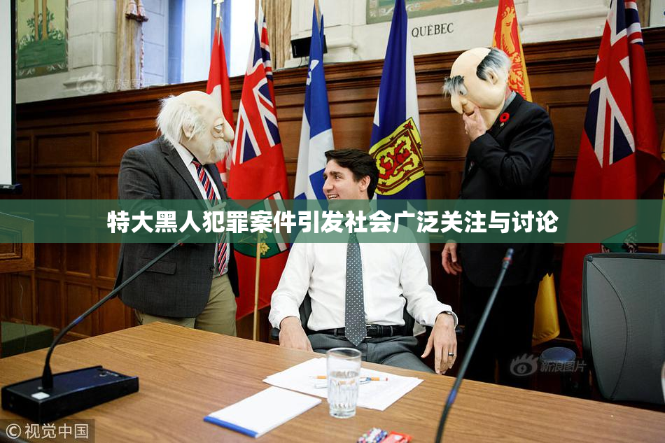特大黑人犯罪案件引发社会广泛关注与讨论