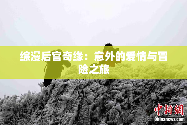 综漫后宫奇缘：意外的爱情与冒险之旅