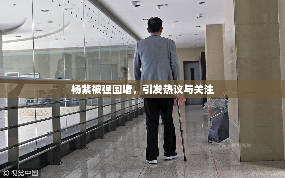杨紫被强围堵，引发热议与关注