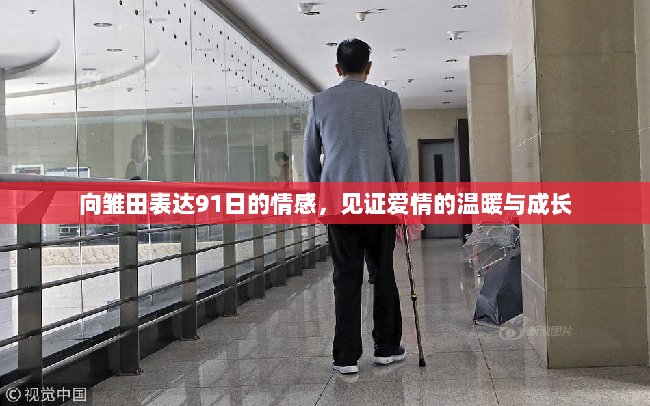 向雏田表达91日的情感，见证爱情的温暖与成长