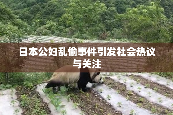 日本公妇乱偷事件引发社会热议与关注