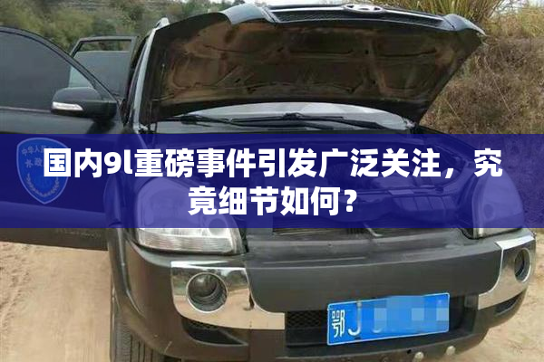 国内9l重磅事件引发广泛关注，究竟细节如何？