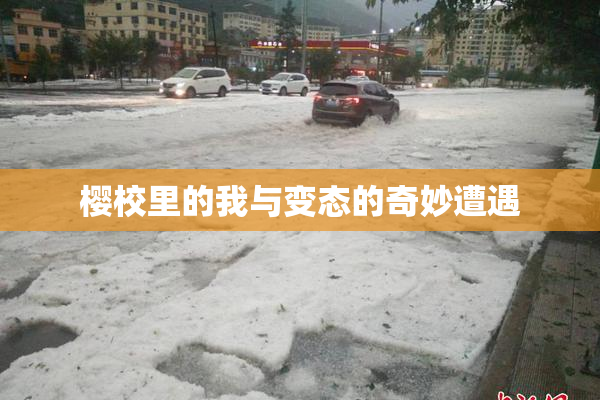 樱校里的我与变态的奇妙遭遇