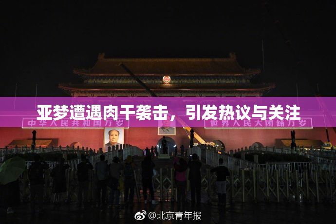 亚梦遭遇肉干袭击，引发热议与关注