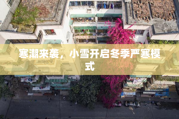 寒潮来袭，小雪开启冬季严寒模式