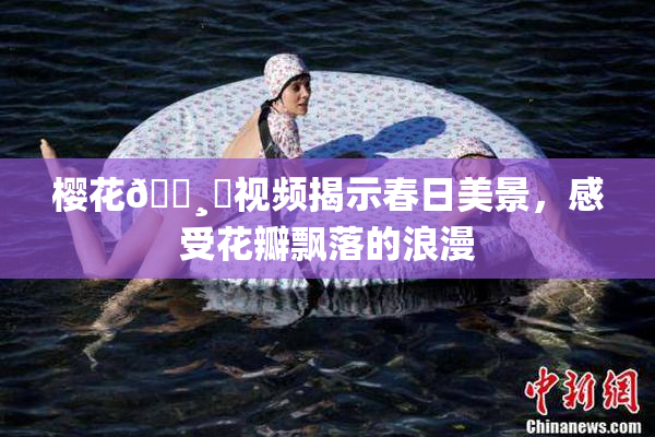 樱花🌸‌视频揭示春日美景，感受花瓣飘落的浪漫